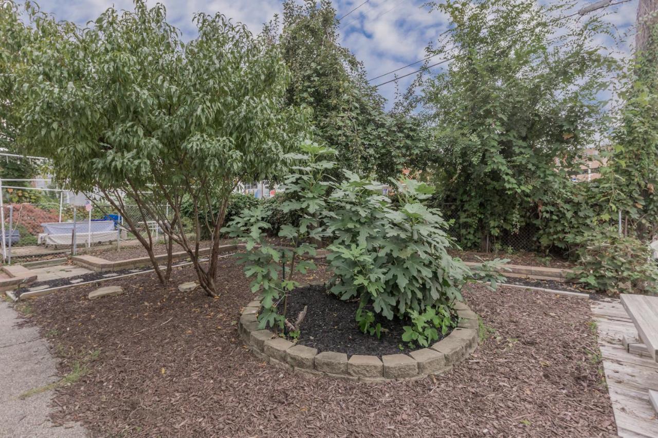 Appartement In The Heart Of Little Italy! Free Parking! à Cleveland Extérieur photo